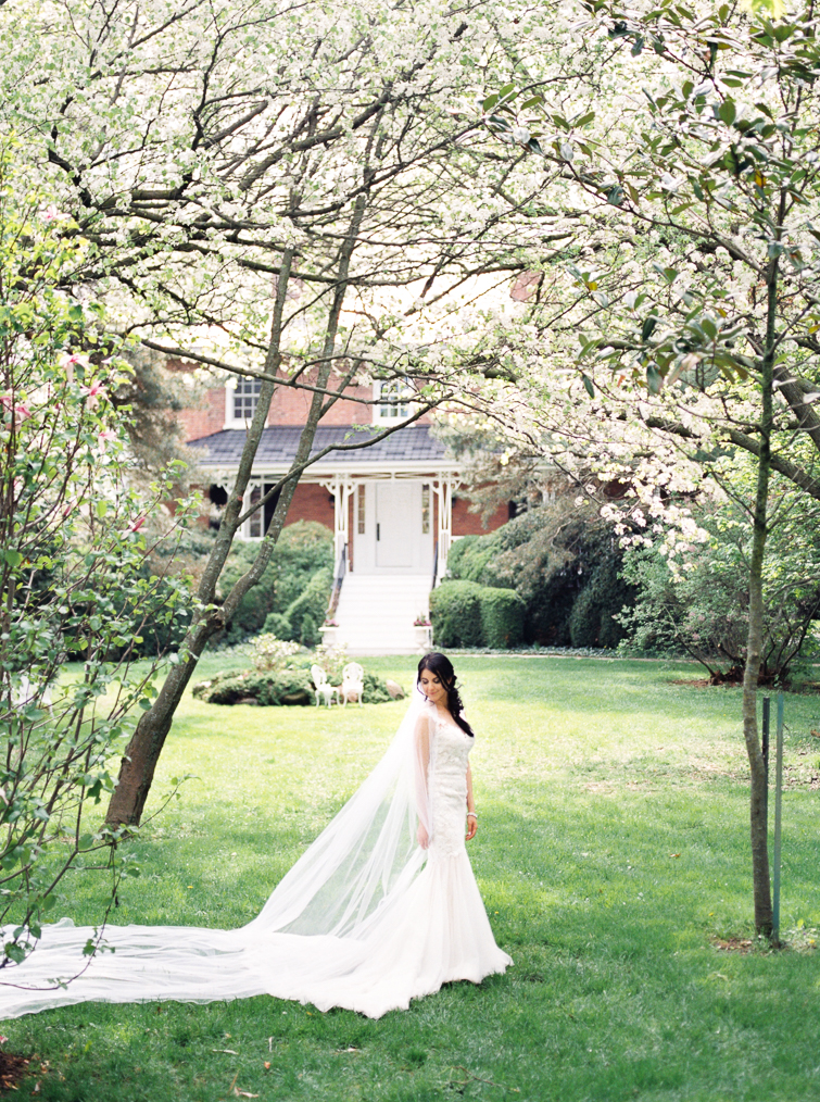 portrait of bride under blooming cherry blossoms in niagara on the lake