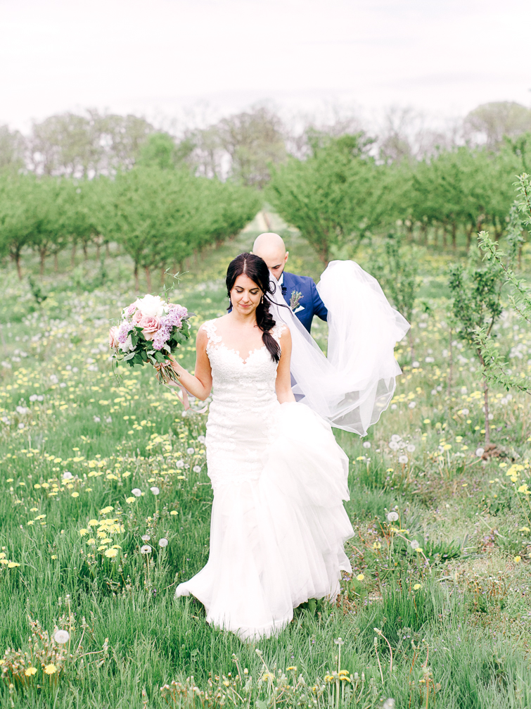 bride and groom walking through apple orchards in niagara on the lake