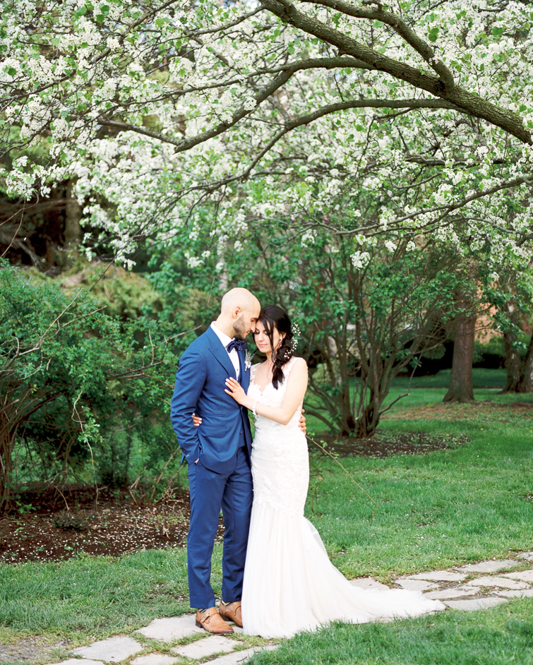 bride and groom under the cherry blossoms at kurtz orchards